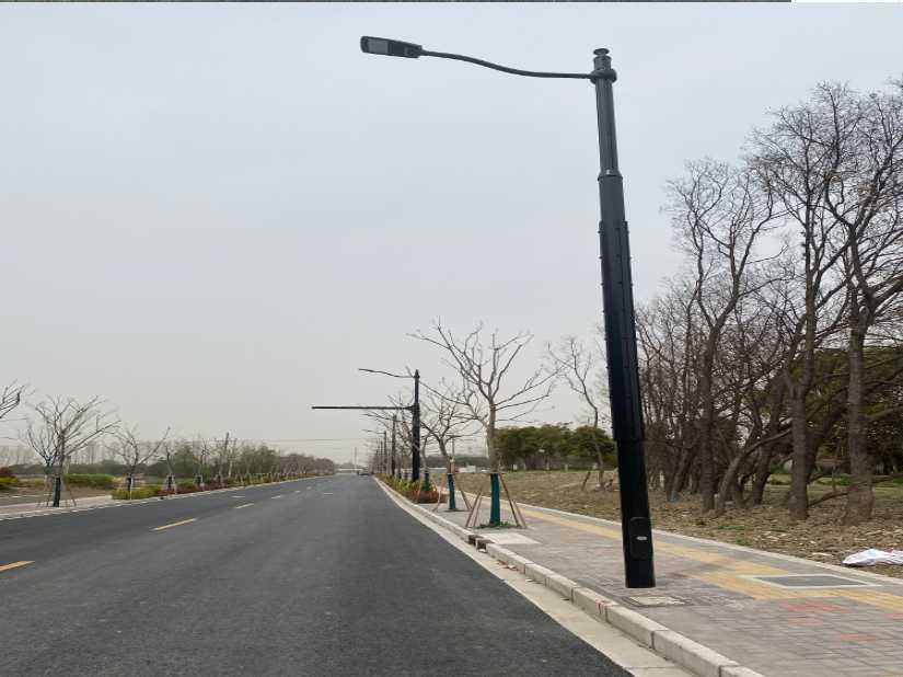 南靖县上海综合杆 太阳能路灯工程